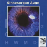 Sinnesorgan Auge