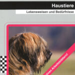 Haustiere