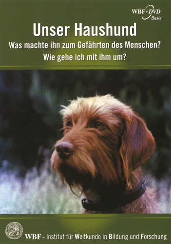 Unser Haushund