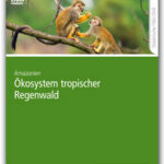 Ökosystem tropischer Regenwald