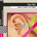 Das Ohr